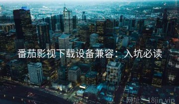 番茄影视下载设备兼容：入坑必读