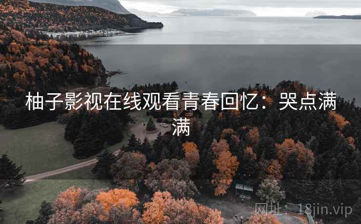 柚子影视在线观看青春回忆：哭点满满