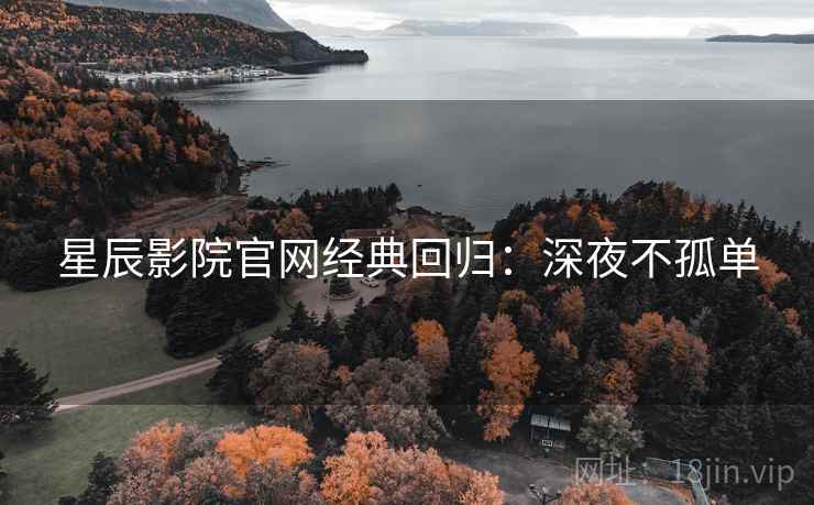 星辰影院官网经典回归：深夜不孤单
