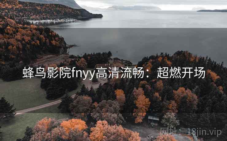 蜂鸟影院fnyy高清流畅：超燃开场