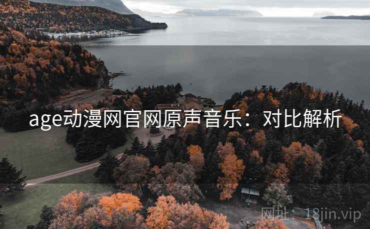 age动漫网官网原声音乐：对比解析