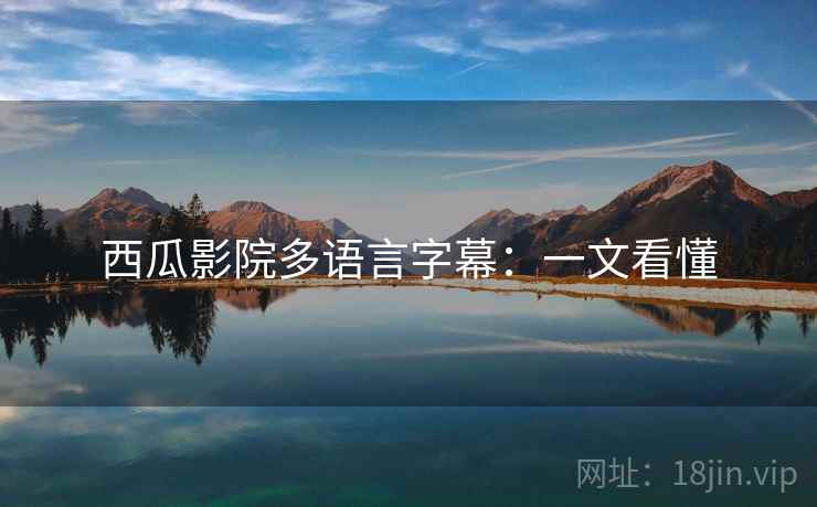 西瓜影院多语言字幕：一文看懂