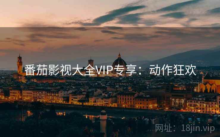 番茄影视大全VIP专享：动作狂欢